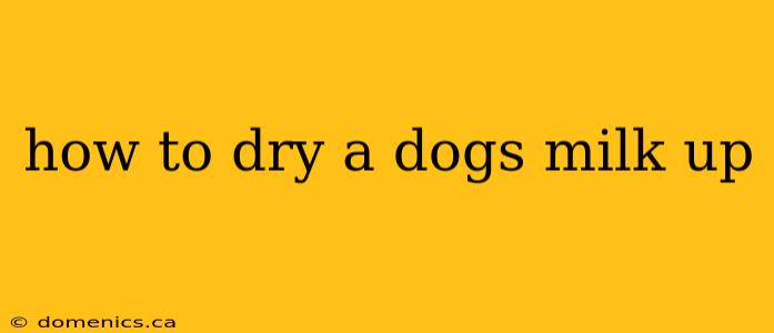 how to dry a dogs milk up