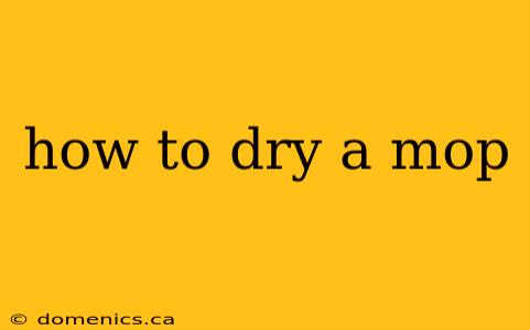 how to dry a mop