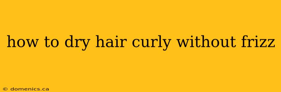 how to dry hair curly without frizz