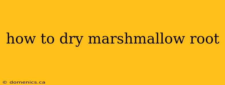 how to dry marshmallow root