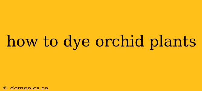 how to dye orchid plants