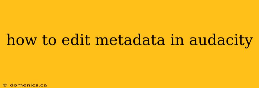 how to edit metadata in audacity