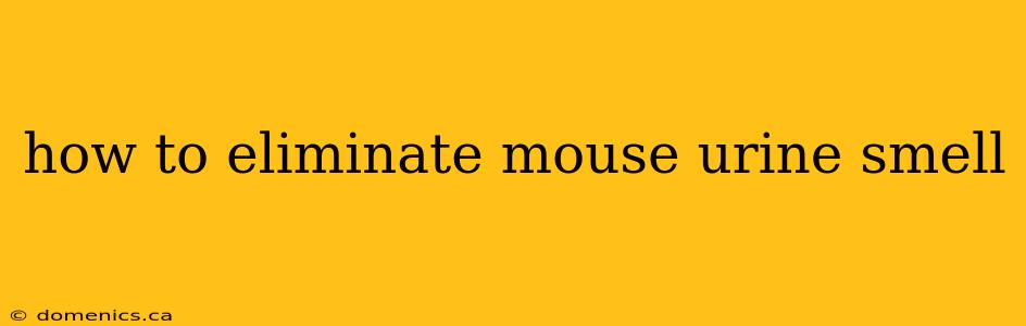 how to eliminate mouse urine smell