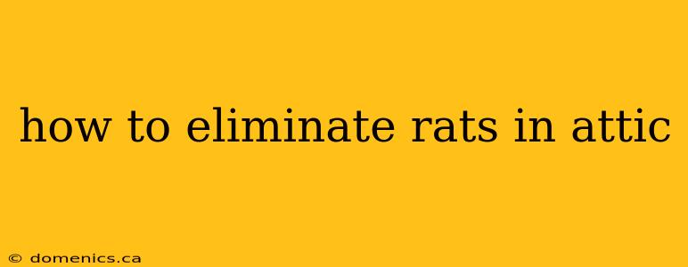 how to eliminate rats in attic