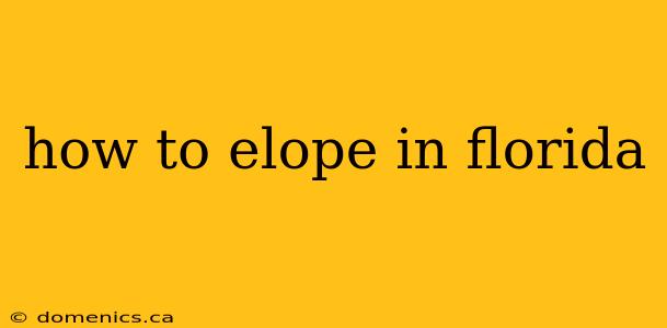 how to elope in florida