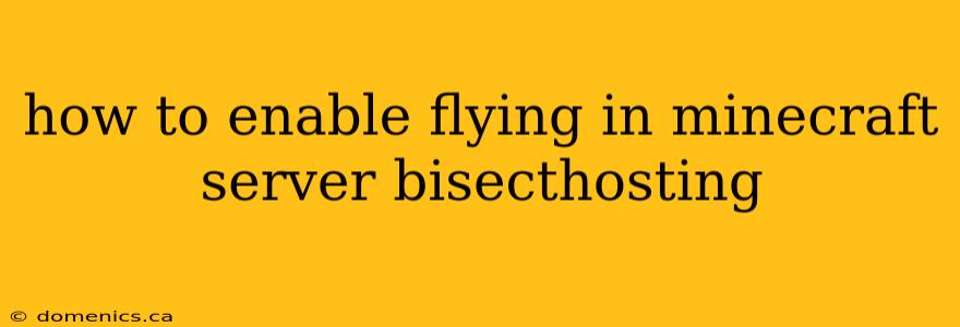 how to enable flying in minecraft server bisecthosting