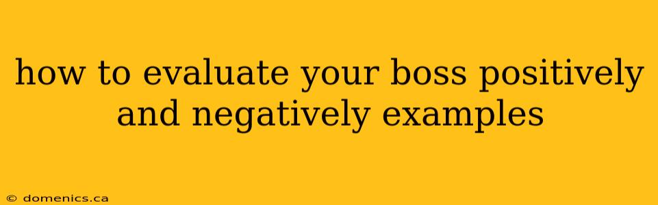 how to evaluate your boss positively and negatively examples