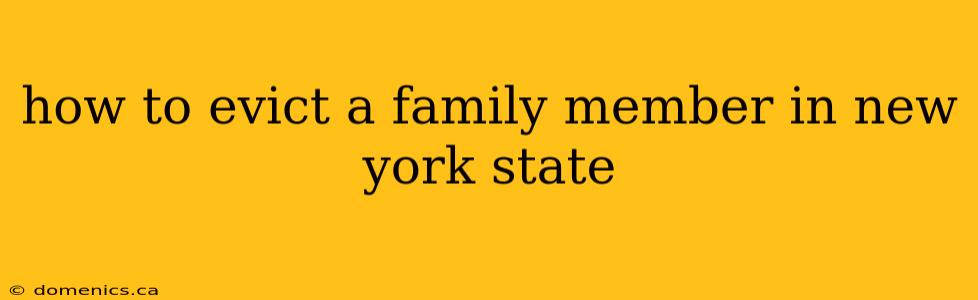 how to evict a family member in new york state