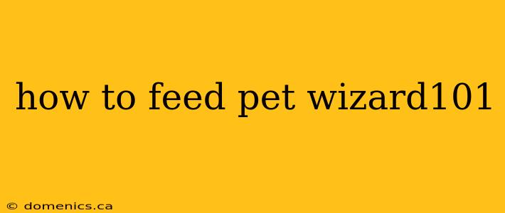 how to feed pet wizard101