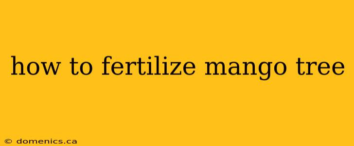 how to fertilize mango tree