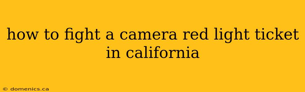 how to fight a camera red light ticket in california