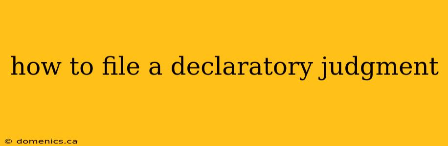 how to file a declaratory judgment