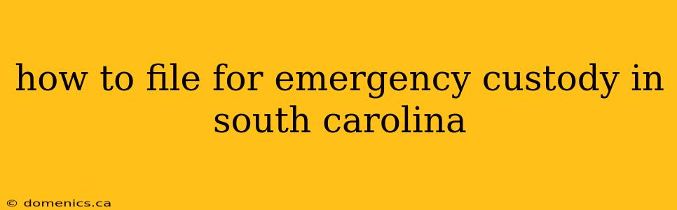 how to file for emergency custody in south carolina