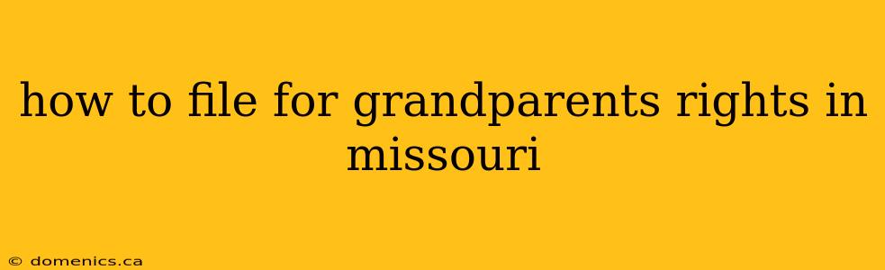 how to file for grandparents rights in missouri