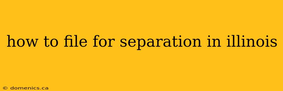 how to file for separation in illinois