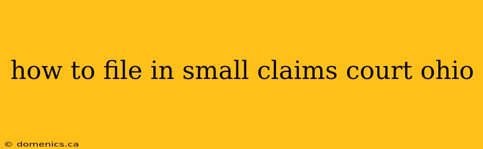 how to file in small claims court ohio