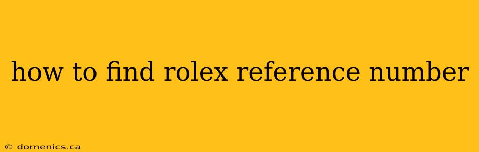 how to find rolex reference number