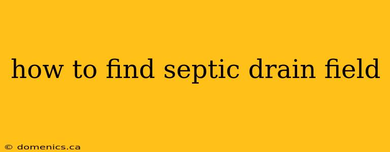 how to find septic drain field