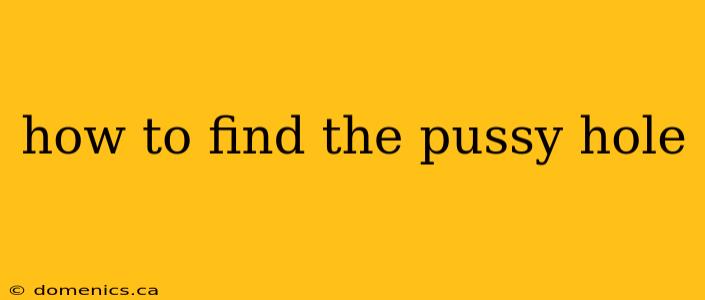 how to find the pussy hole