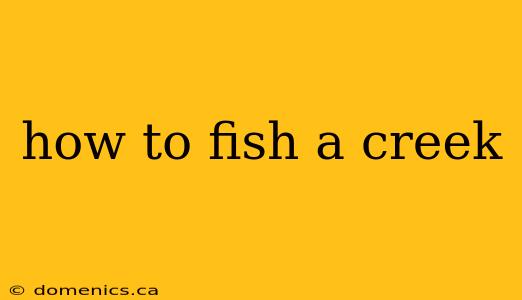 how to fish a creek