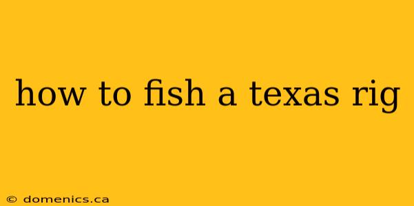 how to fish a texas rig