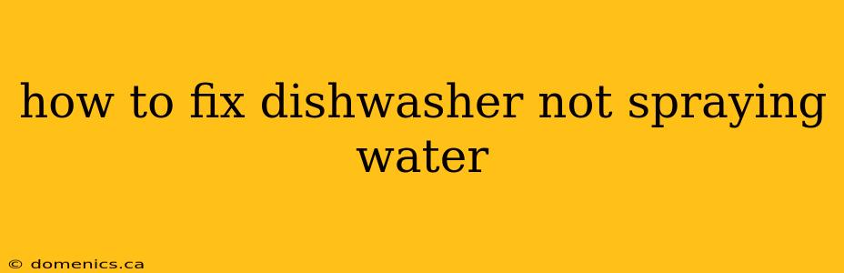 how to fix dishwasher not spraying water