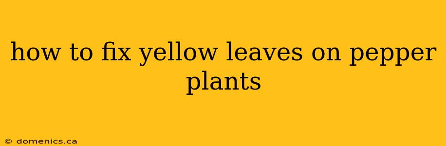 how to fix yellow leaves on pepper plants