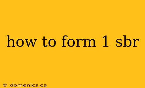 how to form 1 sbr