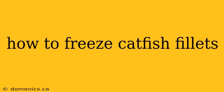 how to freeze catfish fillets