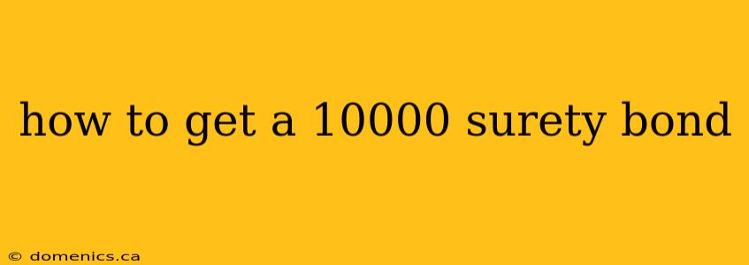 how to get a 10000 surety bond