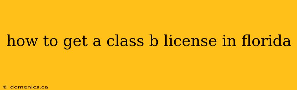 how to get a class b license in florida