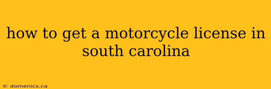 how to get a motorcycle license in south carolina