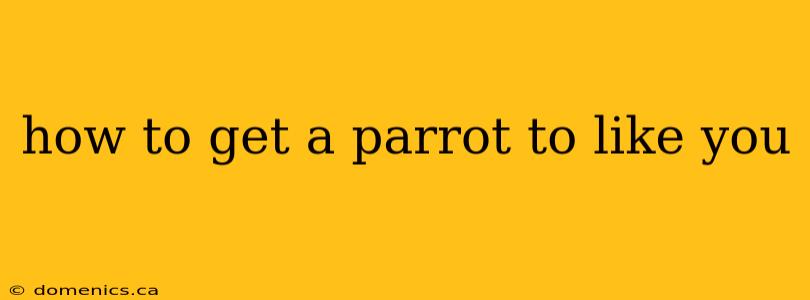 how to get a parrot to like you