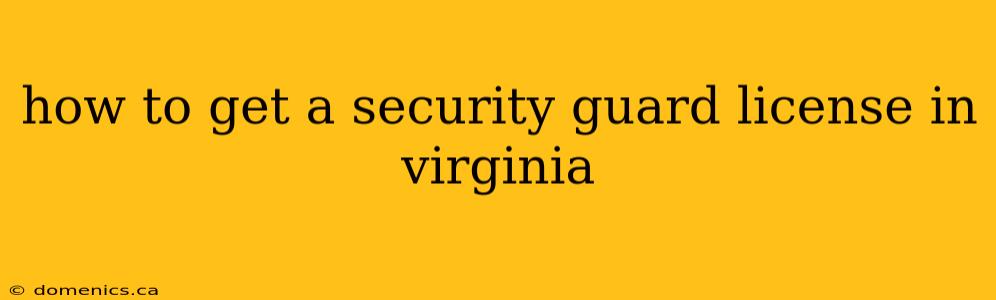 how to get a security guard license in virginia