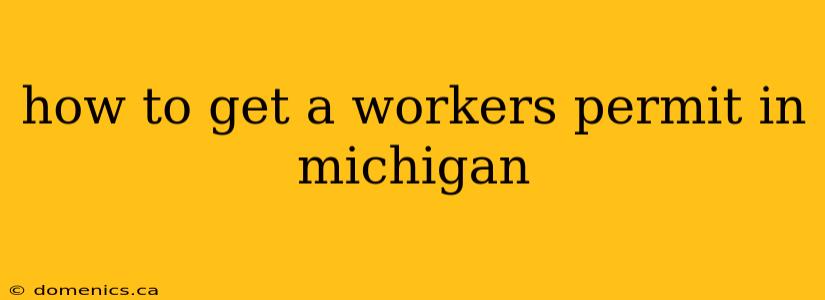 how to get a workers permit in michigan