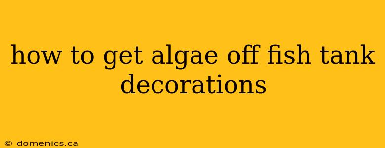 how to get algae off fish tank decorations