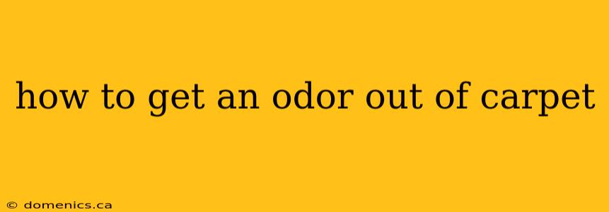 how to get an odor out of carpet