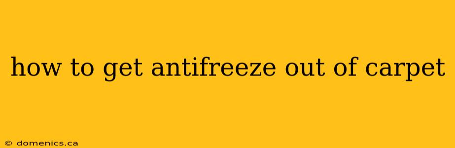 how to get antifreeze out of carpet