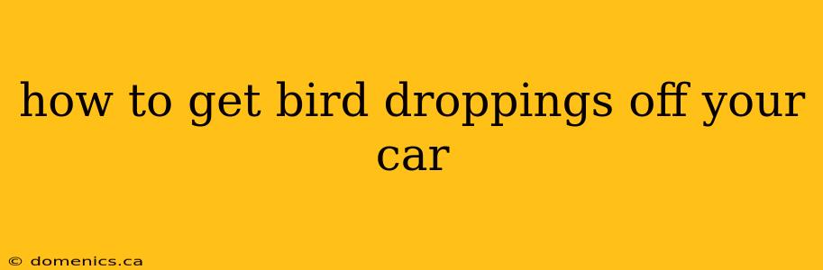 how to get bird droppings off your car