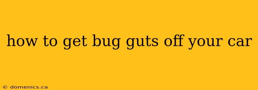 how to get bug guts off your car