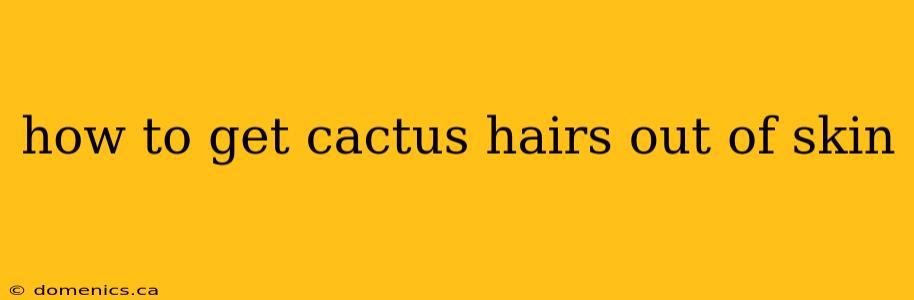 how to get cactus hairs out of skin