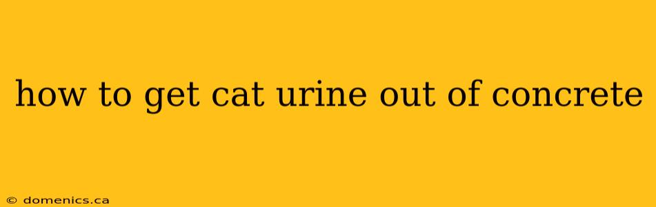 how to get cat urine out of concrete