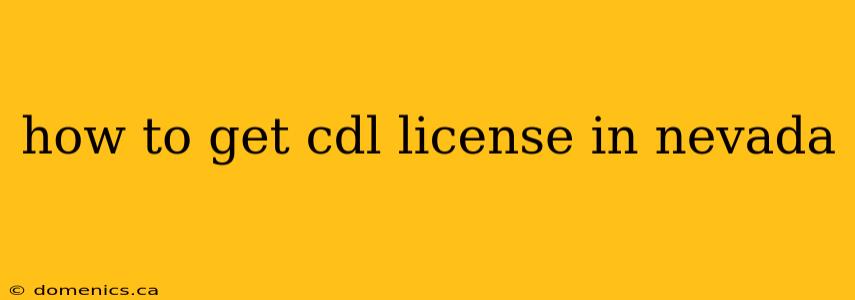 how to get cdl license in nevada