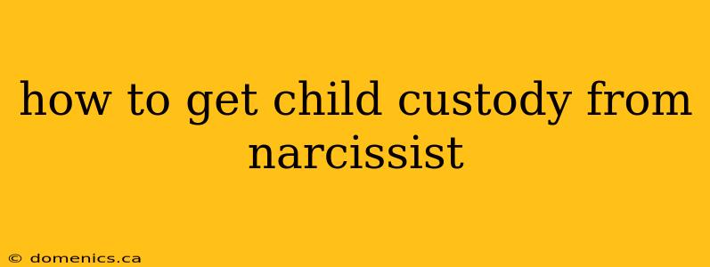 how to get child custody from narcissist