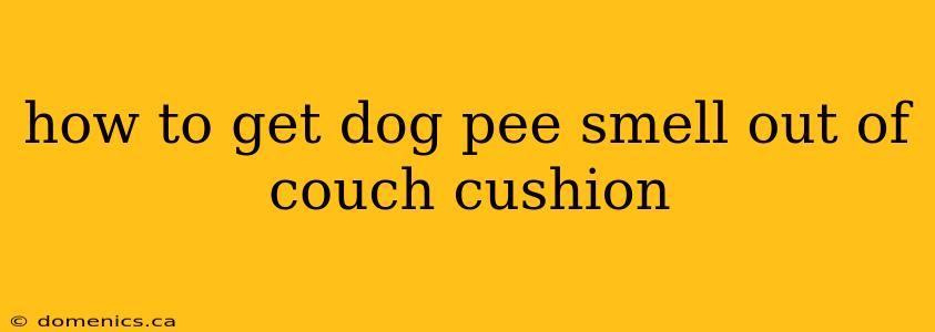 how to get dog pee smell out of couch cushion