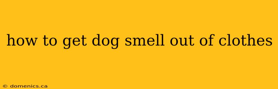 how to get dog smell out of clothes