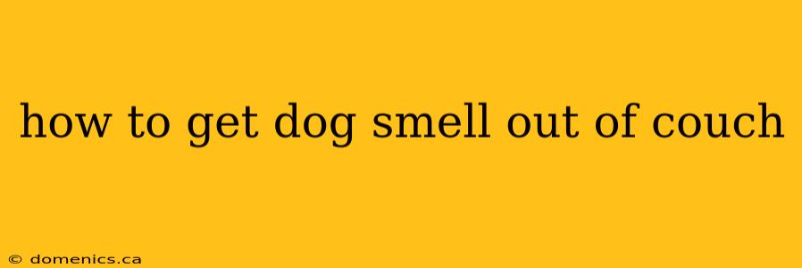 how to get dog smell out of couch