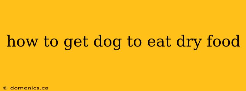 how to get dog to eat dry food