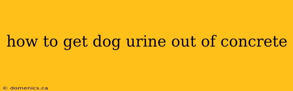 how to get dog urine out of concrete