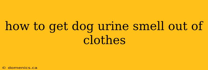 how to get dog urine smell out of clothes